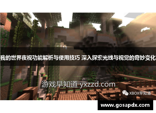 我的世界夜视功能解析与使用技巧 深入探索光线与视觉的奇妙变化