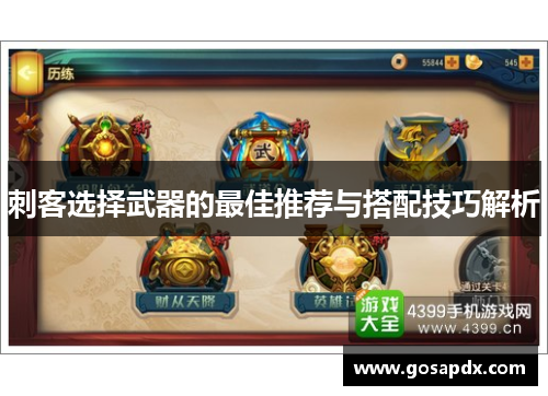 刺客选择武器的最佳推荐与搭配技巧解析