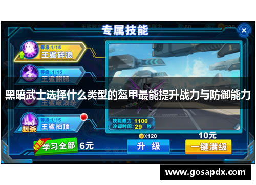 黑暗武士选择什么类型的盔甲最能提升战力与防御能力