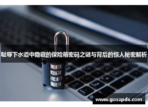 耻辱下水道中隐藏的保险箱密码之谜与背后的惊人秘密解析