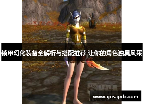 锁甲幻化装备全解析与搭配推荐 让你的角色独具风采
