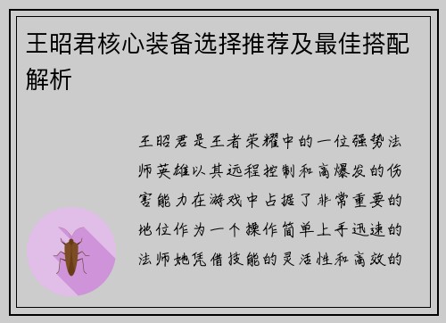 王昭君核心装备选择推荐及最佳搭配解析