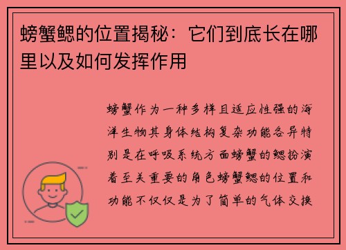 螃蟹鳃的位置揭秘：它们到底长在哪里以及如何发挥作用
